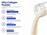 Collagen Wound Powder Particles
