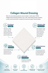 infoad: Collagen dressing overview