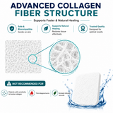 infoad: Advanced collagen fiber structure